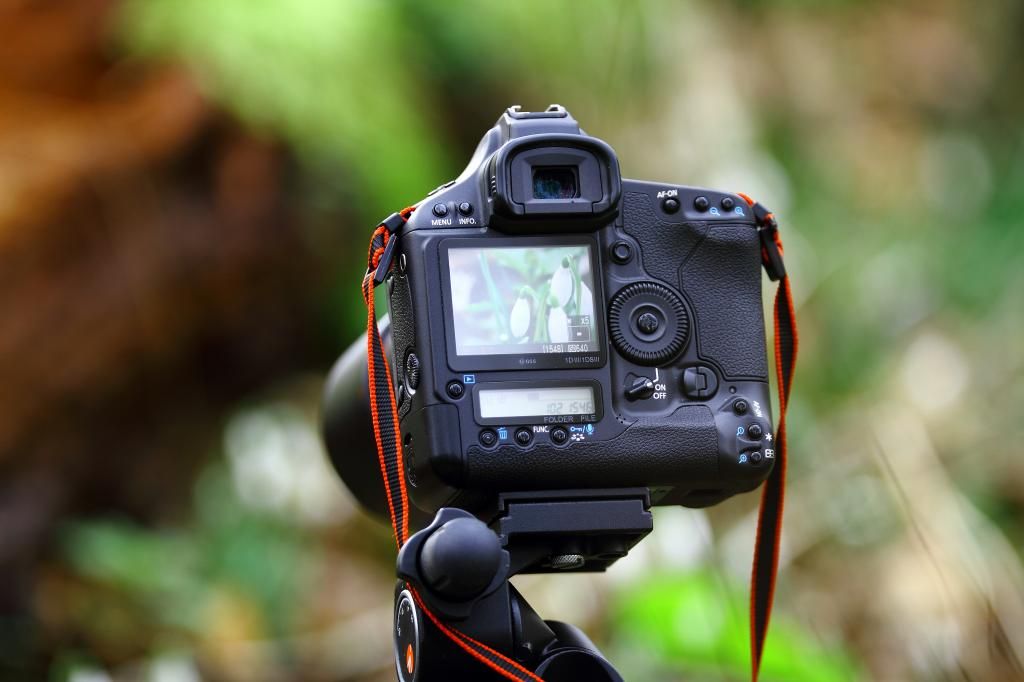 IMAGE: http://i862.photobucket.com/albums/ab181/paul-cousins/1.jpg