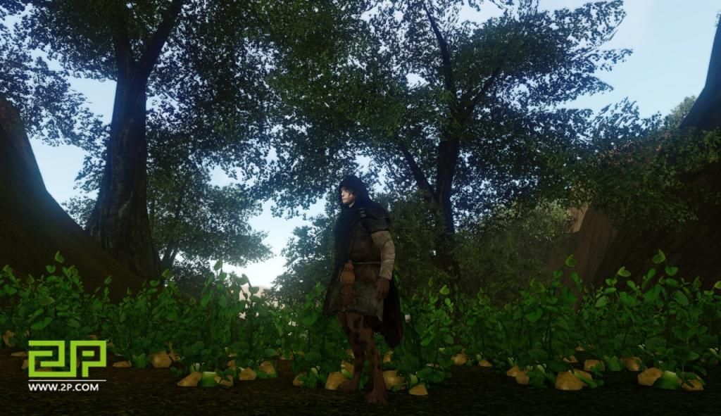 ArcheAge