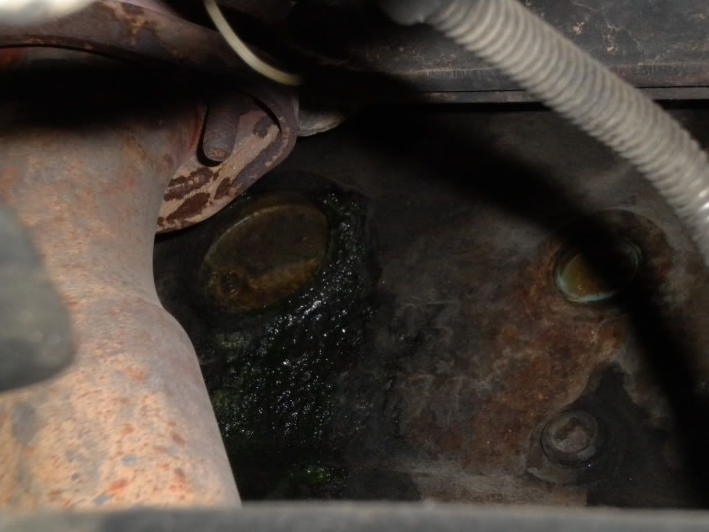 Antifreeze leaking from drivers side of engine