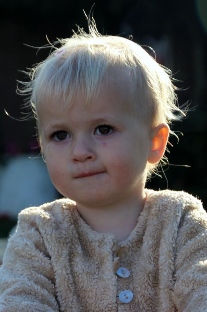 56376F74-985B-4A4F-BF1C-90ED00171BC7_zpsvewenpuv.jpg