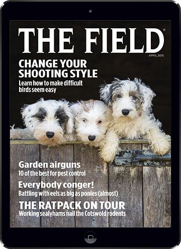 cover-Field Images