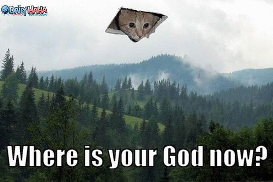 http://i862.photobucket.com/albums/ab189/Nurvana/ceiling_cat_god.jpg