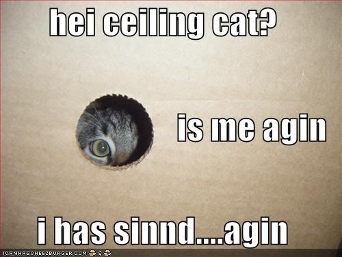 http://i862.photobucket.com/albums/ab189/Nurvana/funny-pictures-cat-confesses-to-ceiling-cat.jpg