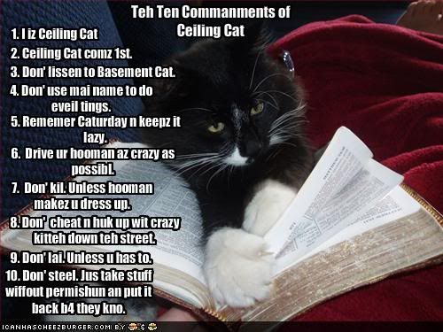 http://i862.photobucket.com/albums/ab189/Nurvana/funny-pictures-ten-commandments-of-ceiling-cat.jpg