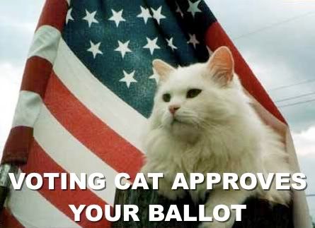 http://i862.photobucket.com/albums/ab189/Nurvana/voting-cat-approves-your-ballot-lolcat.jpg