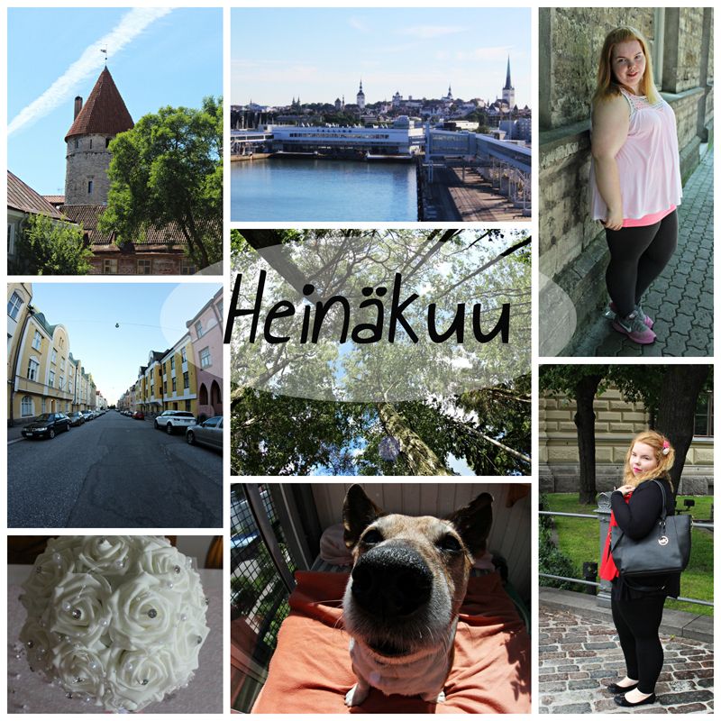  photo heinaumlkuu2015_zpsii6b2sxl.jpg